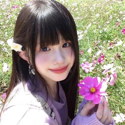 不死鸟之恋